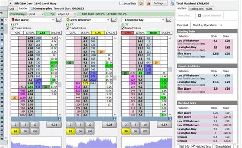 betfair software|Trading Software for Betfair and Betdaq .